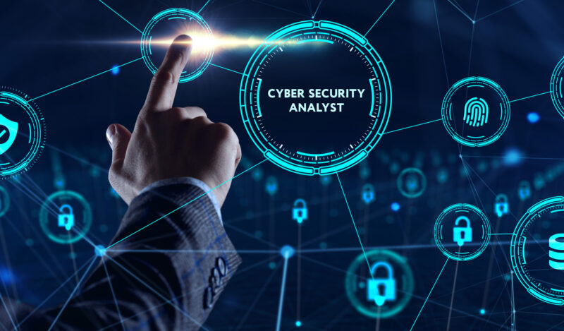Cyber Security Analyst: chi sono e cosa fanno