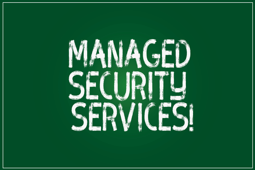 Managed Security Services: Cosa Sono e le Opportunità per le PMI